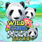 RTP joker Tropicana77